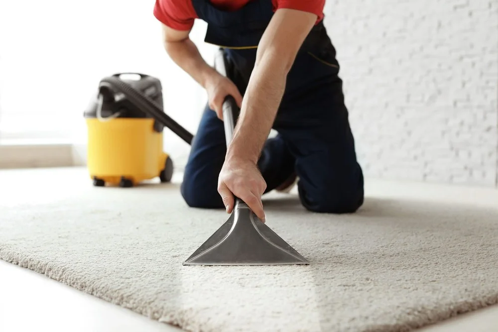 Limpieza profesional de alfombras y tapetes